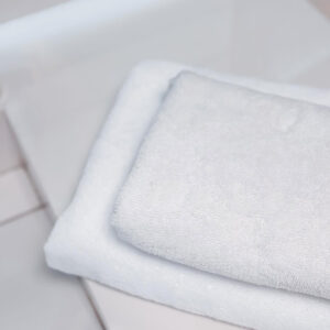 Pillow Protector Water Proof Terry Towelling